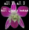 alamin